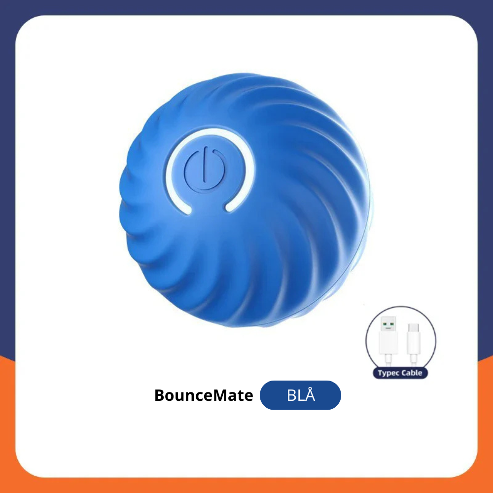 BounceMate™ | Interaktiv Bold Til Kæledyr