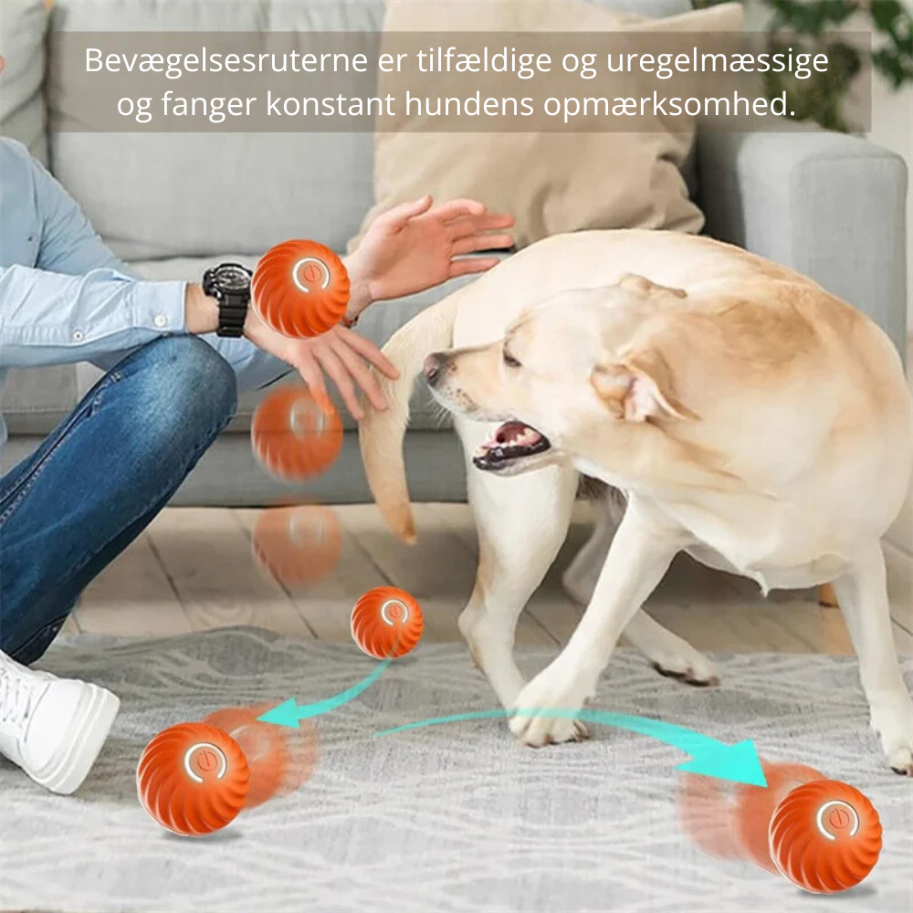 BounceMate™ | Interaktiv Bold Til Kæledyr