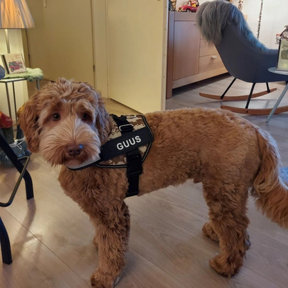 DogComfort™ | Alle hunde fortjener en sikker sele!