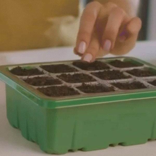 UrbanEco™ | Indendørs væksthus med LED og luftcirkulation