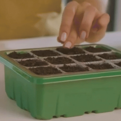 UrbanEco™ | Indendørs væksthus med LED og luftcirkulation