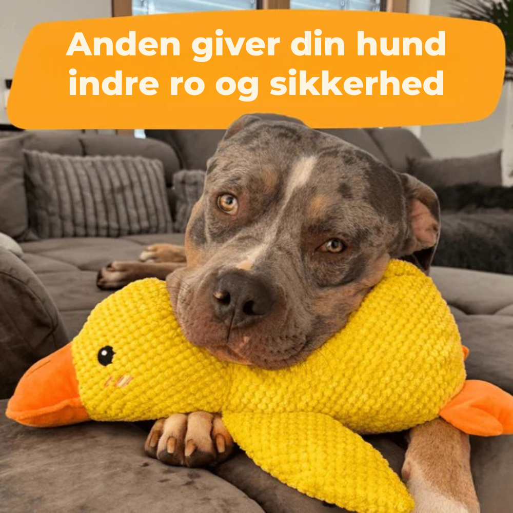SoothingDuck™ | Anti-stress-anden til din hund