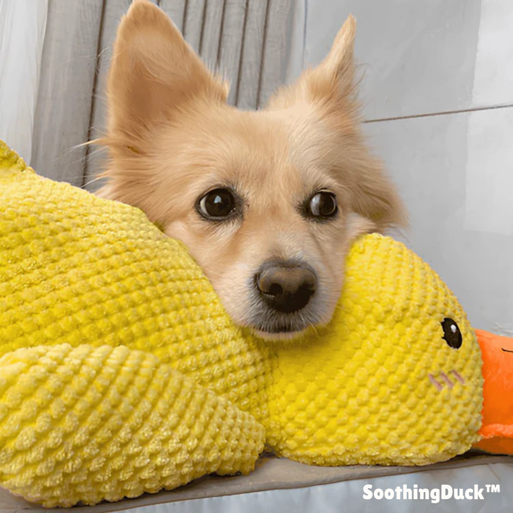 SoothingDuck™ | Anti-stress-anden til din hund