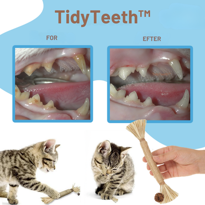 TidyTeeth™ | Naturlig Silvervine Stick tyggelegetøj til katte