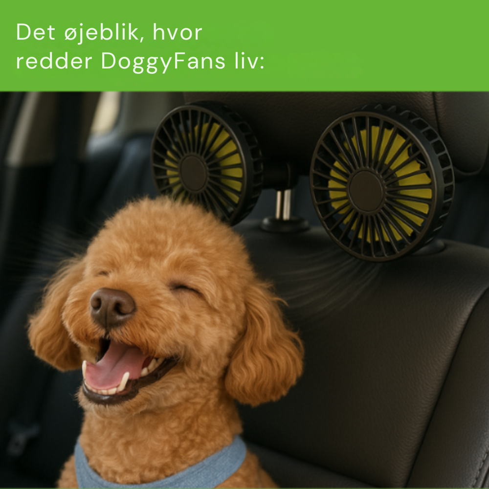 DoggyFan™ | Vinder af rejsegadgets 2025