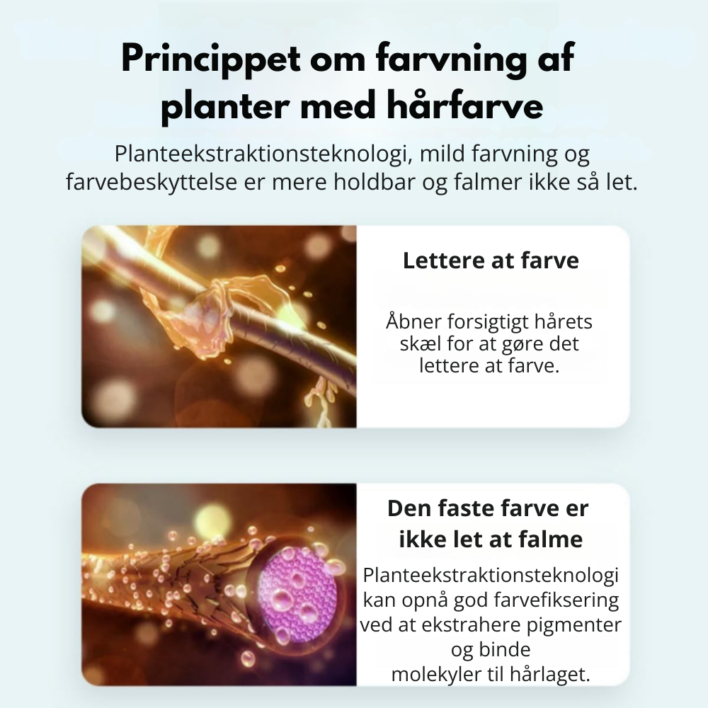 GrayConceal™ | Dækker gråt hår på få sekunder