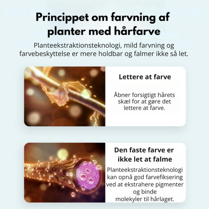 GrayConceal™ | Dækker gråt hår på få sekunder