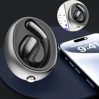 LinguaPods™ | Let at oversætte i realtid