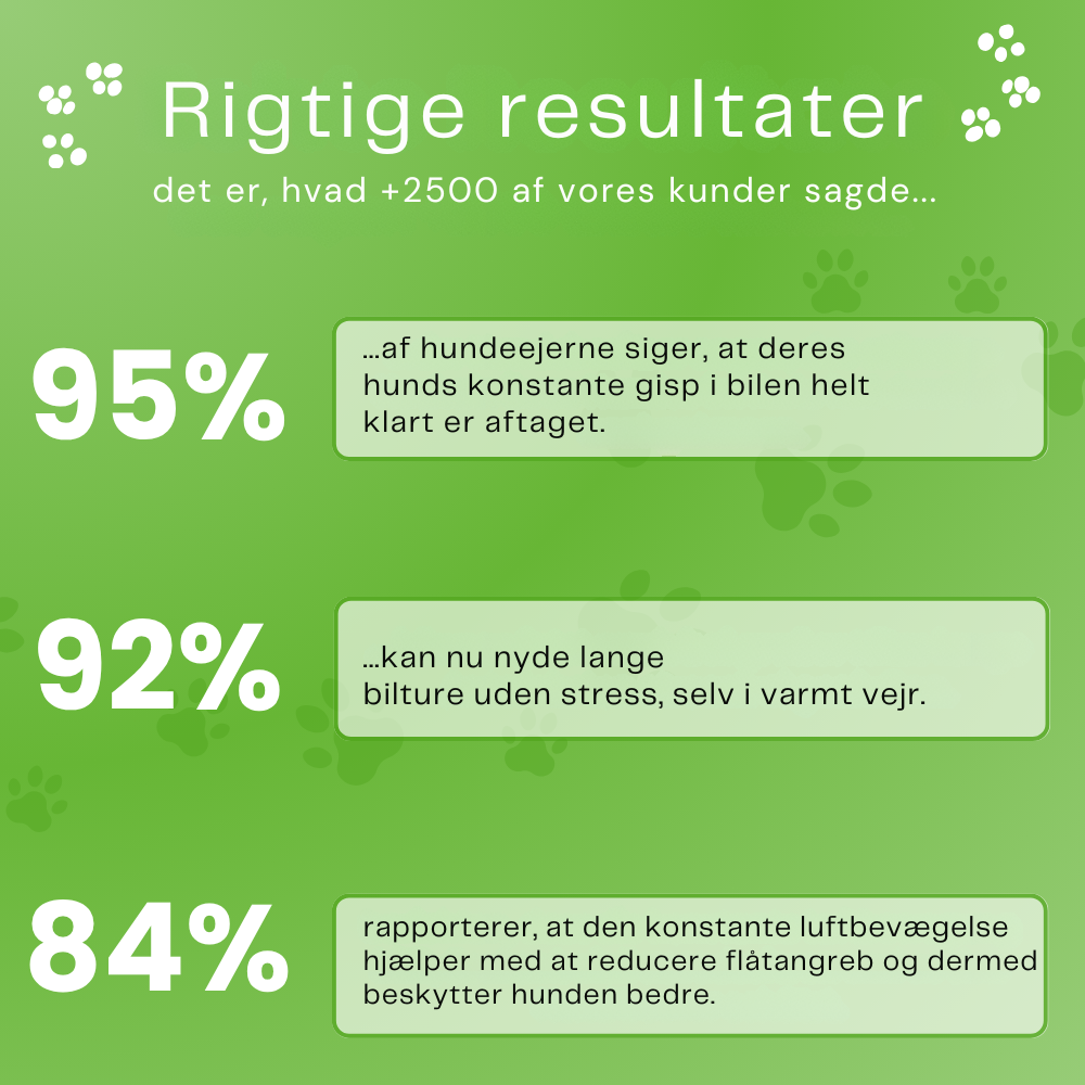 DoggyFan™ | Vinder af rejsegadgets 2025