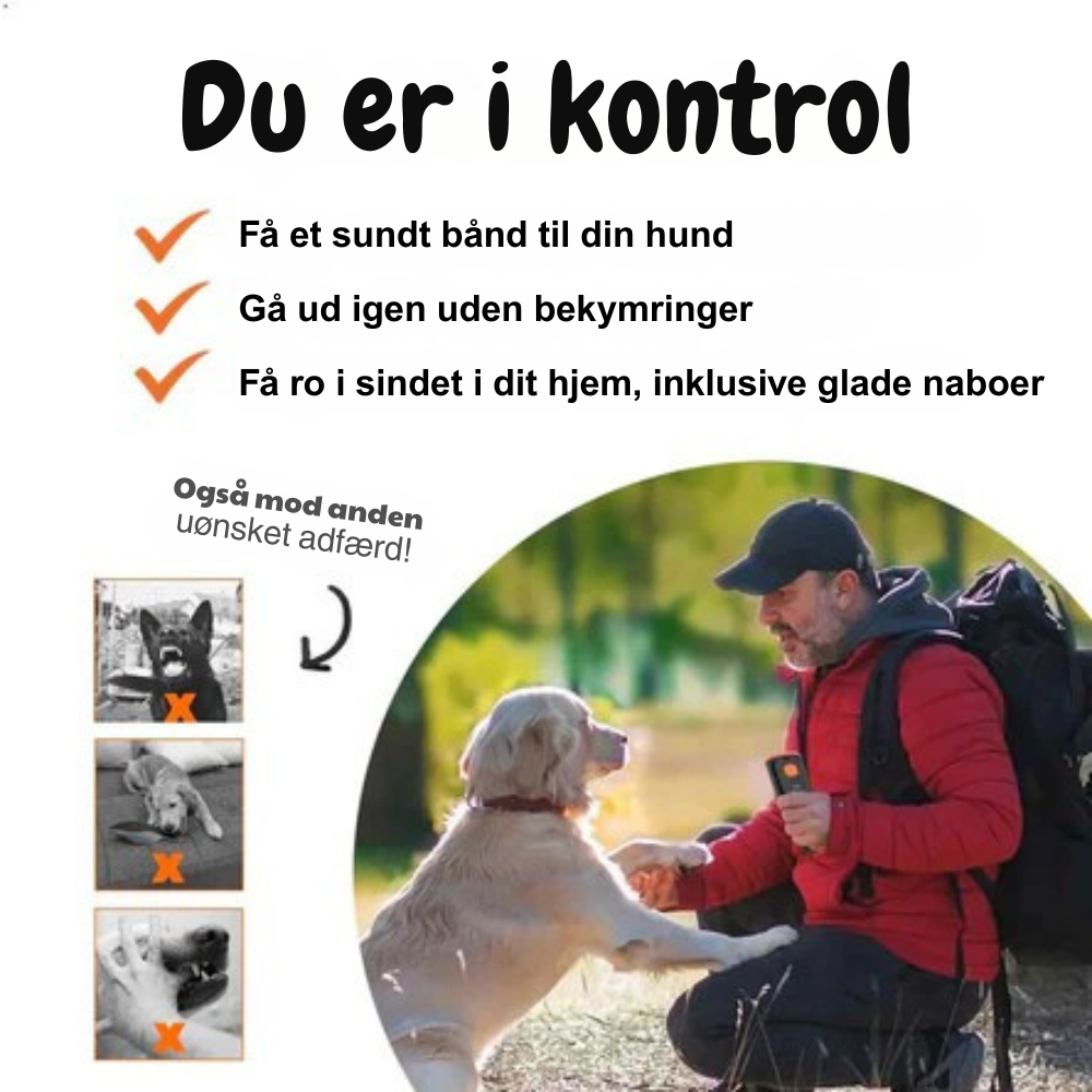 DogTrainer™ | Elsk din hund, og lær den, hvad du vil have!