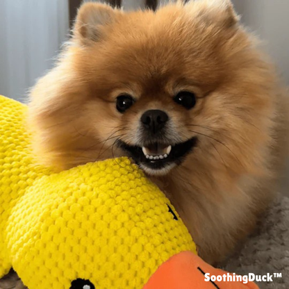 SoothingDuck™ | Anti-stress-anden til din hund