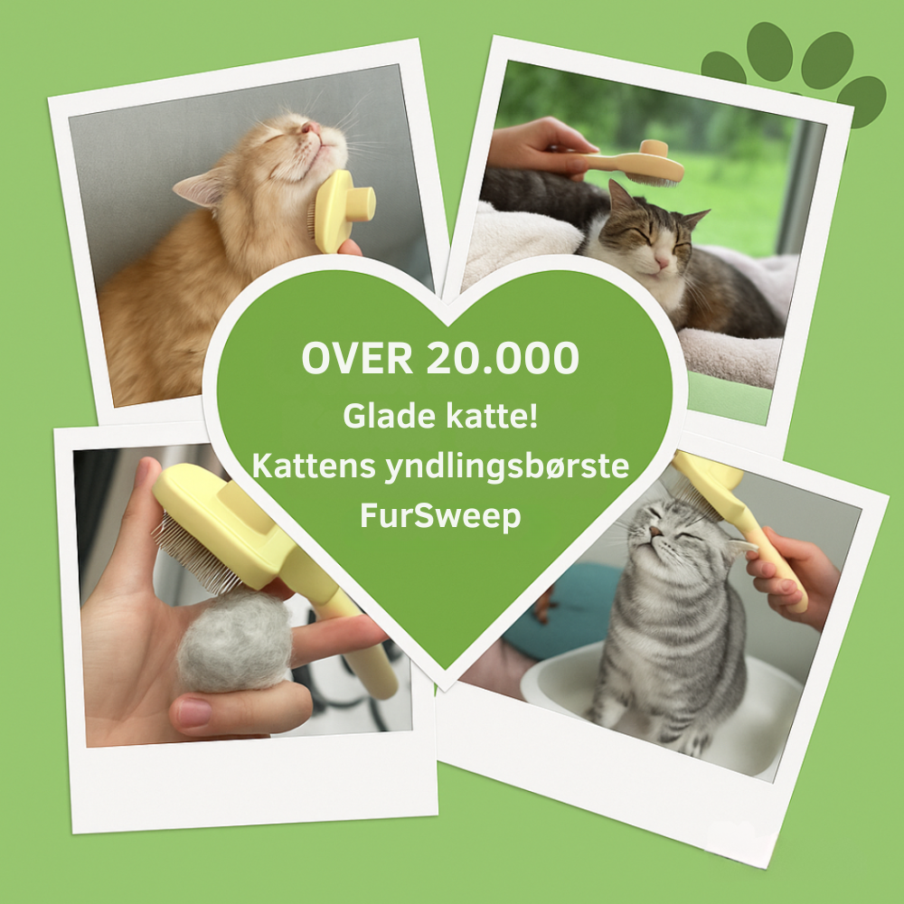 FurSweep™ | Effektiv kattebørste mod fældning og lopper