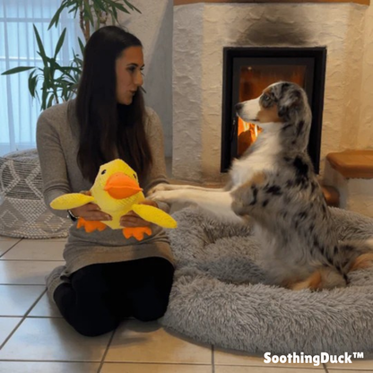 SoothingDuck™ | Anti-stress-anden til din hund
