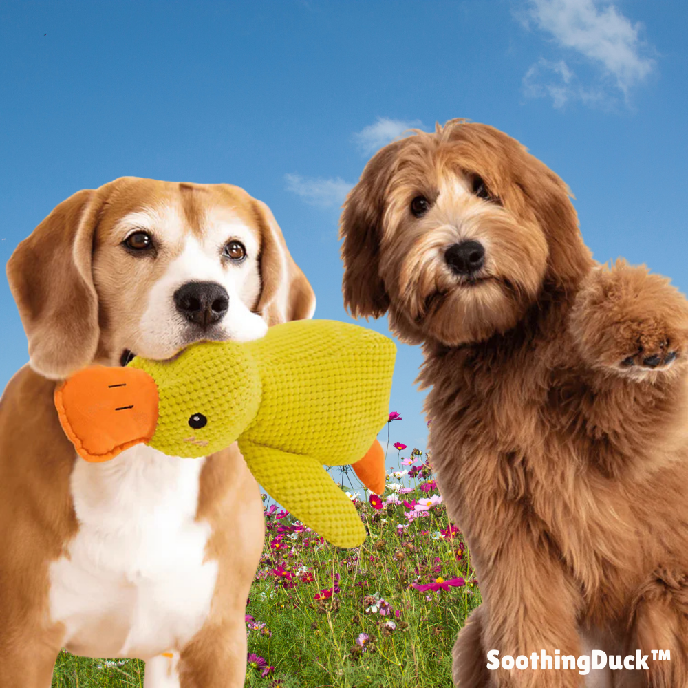 SoothingDuck™ | Anti-stress-anden til din hund