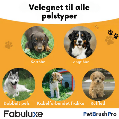 PetBrush™ Pro | Den ultimative hundebørste mod fældning og lopper
