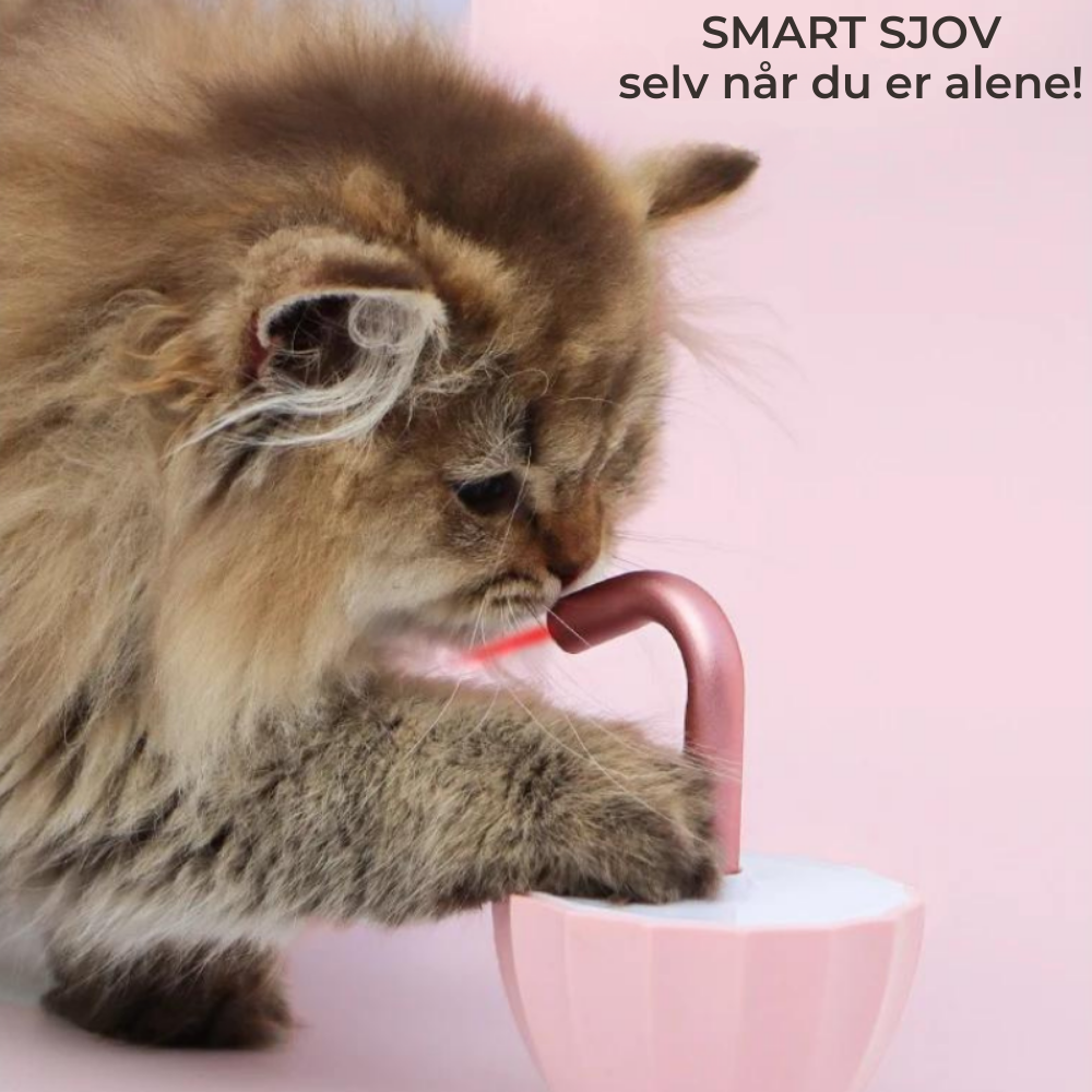 KittyBeam™ | Hold din kat aktiv og glad – også når du ikke er hjemme