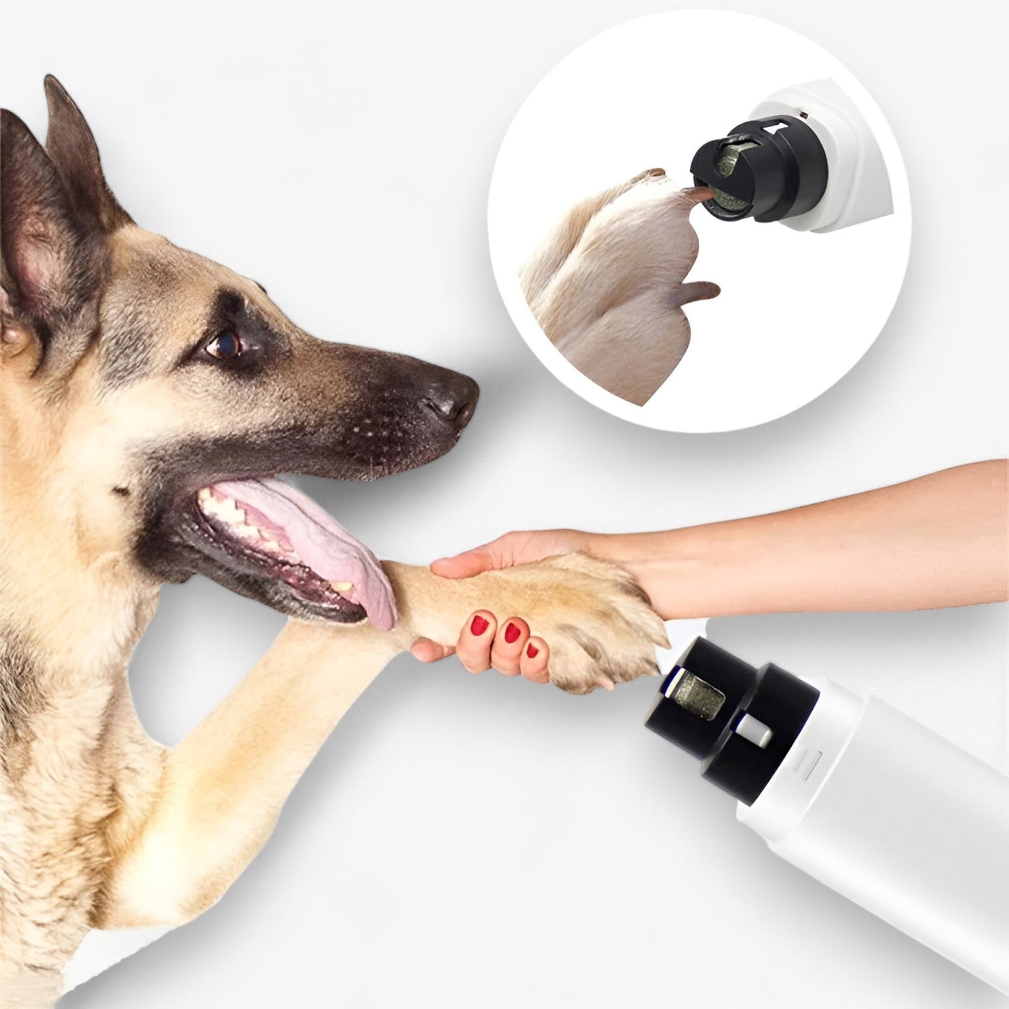 PawPerfect™ | Elektrisk negleklipper med LED og USB-opladning