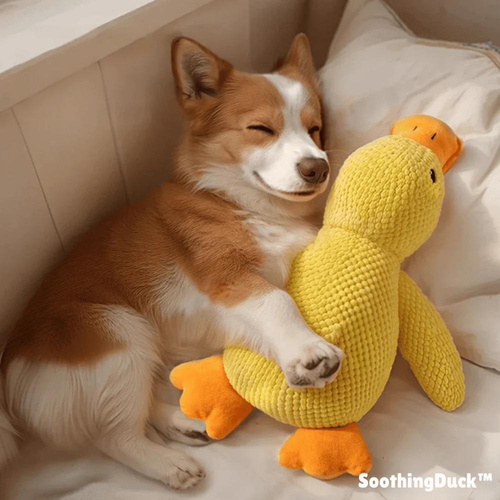 SoothingDuck™ | Anti-stress-anden til din hund