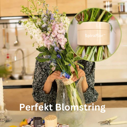 SpiraFlor™ | Ikebana Blomster-spiralholder