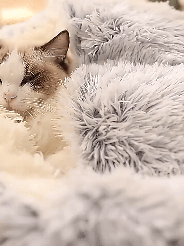 CozyCave™ | Den velkendte seng til kat og hund