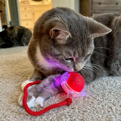 PurrPlay Ball™ | Stop kedsomhed og ødelagt inventar hos din kat