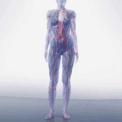 OptimaForma™ | Fodmassage og cirkulationsstimulator i 1