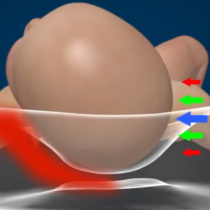 DreamNest™ | Den ultimative babyseng